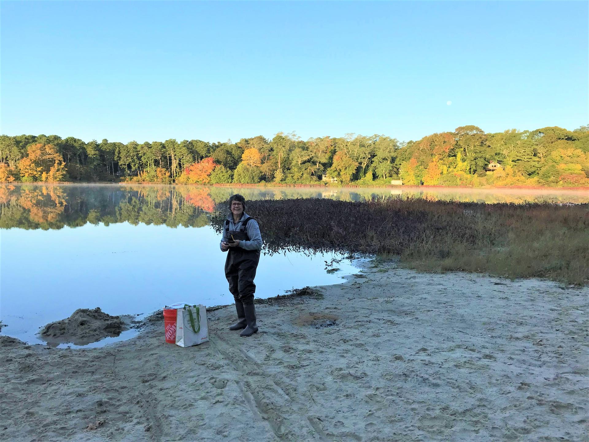 Volunteer, Lisa Allen, water sampler at Pilgrim Lake, Orleans.